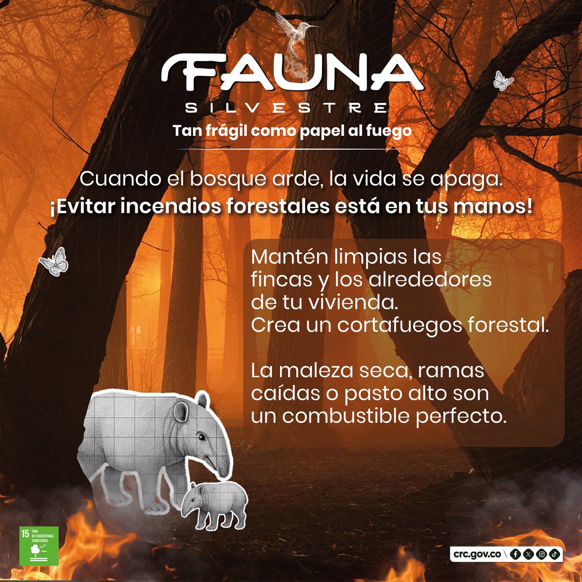 CRCcauca's tweet image. 🔥La maleza seca es como pólvora en verano.
Un cortafuegos puede marcar la diferencia entre prevenir o lamentar.
🌿 La protección empieza por casa.