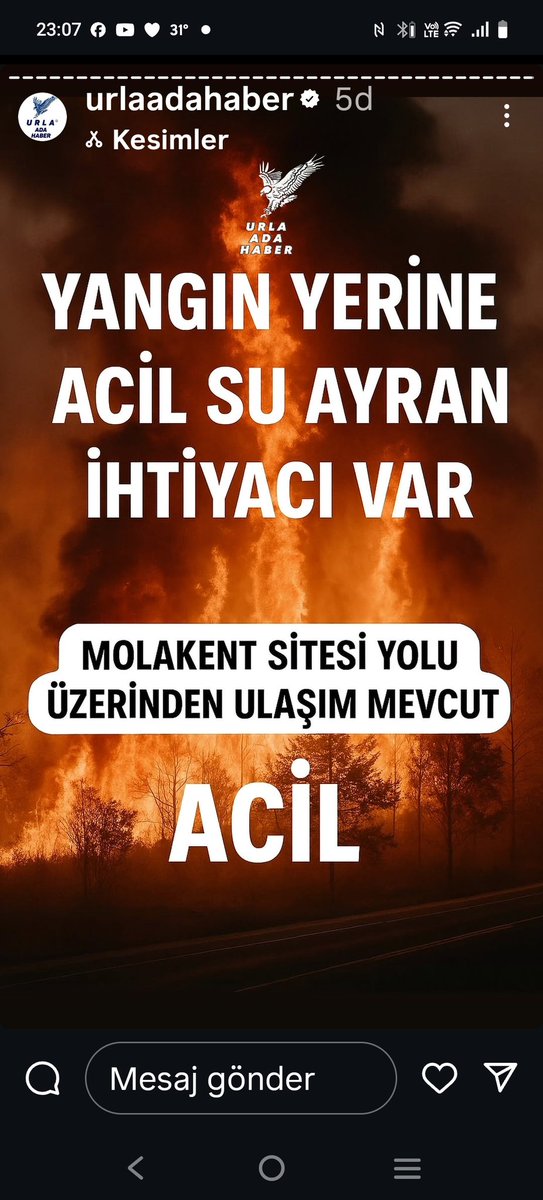 Aynurzd80701061's tweet photo. @MilenyumKahin Urla kuşçular https://t.co/90Jp3n2BF6