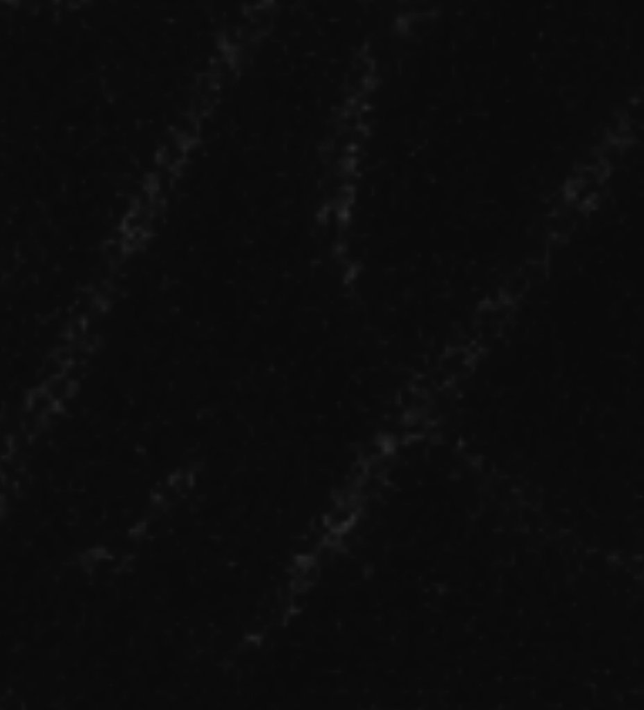 10K Bounty: Upon mint out, one fated minter will claim a $10,000 bounty hidden within a single NFT. Will you be the chosen one?  

Tag 5 mfers
Follow <a href="/TheCultofCults/">Cult</a>
Retweet and like the post
One winner will be chosen after mint out to receive 1 free <a href="/TheCultofCults/">Cult</a>
NFT