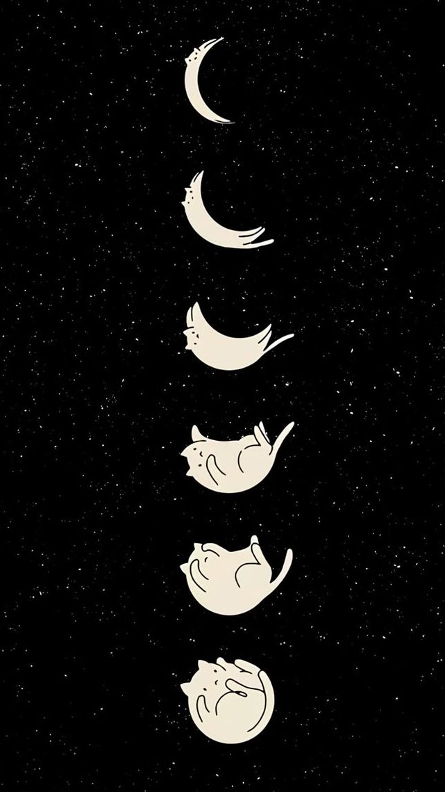 only cute things (@cutedreamvibes) on Twitter photo 