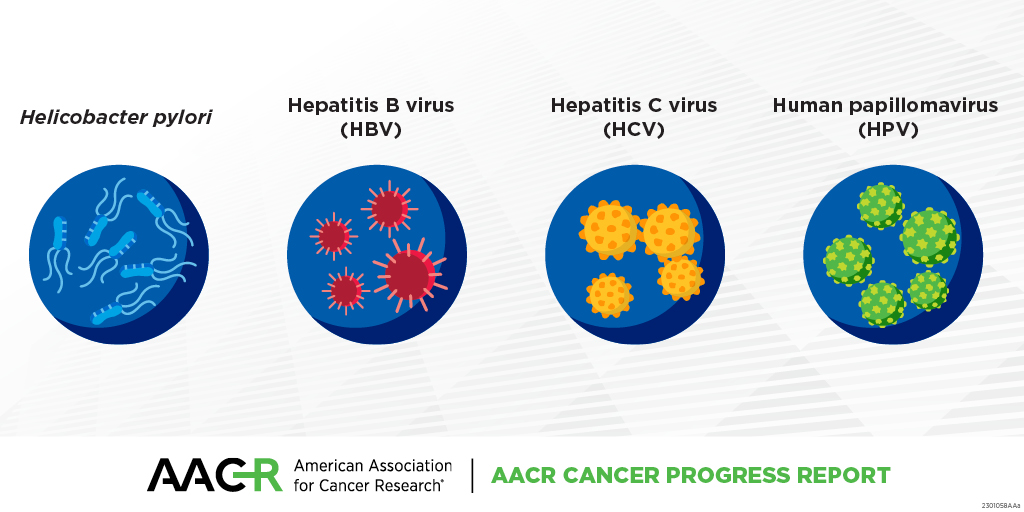 #DYK? Persistent infection with cancer-causing pathogens—bacteria, viruses, and other parasites that cause disease—can increase a person's risk for several types of cancer. Learn more in the <a href="/AACR/">AACR</a> #CancerProgressReport: brnw.ch/21wUlso