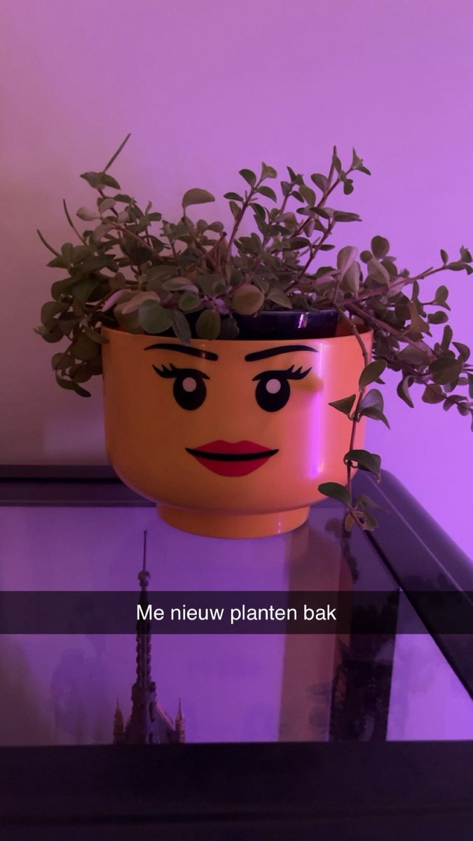 🙂😂😅Lego hoofd 🚺