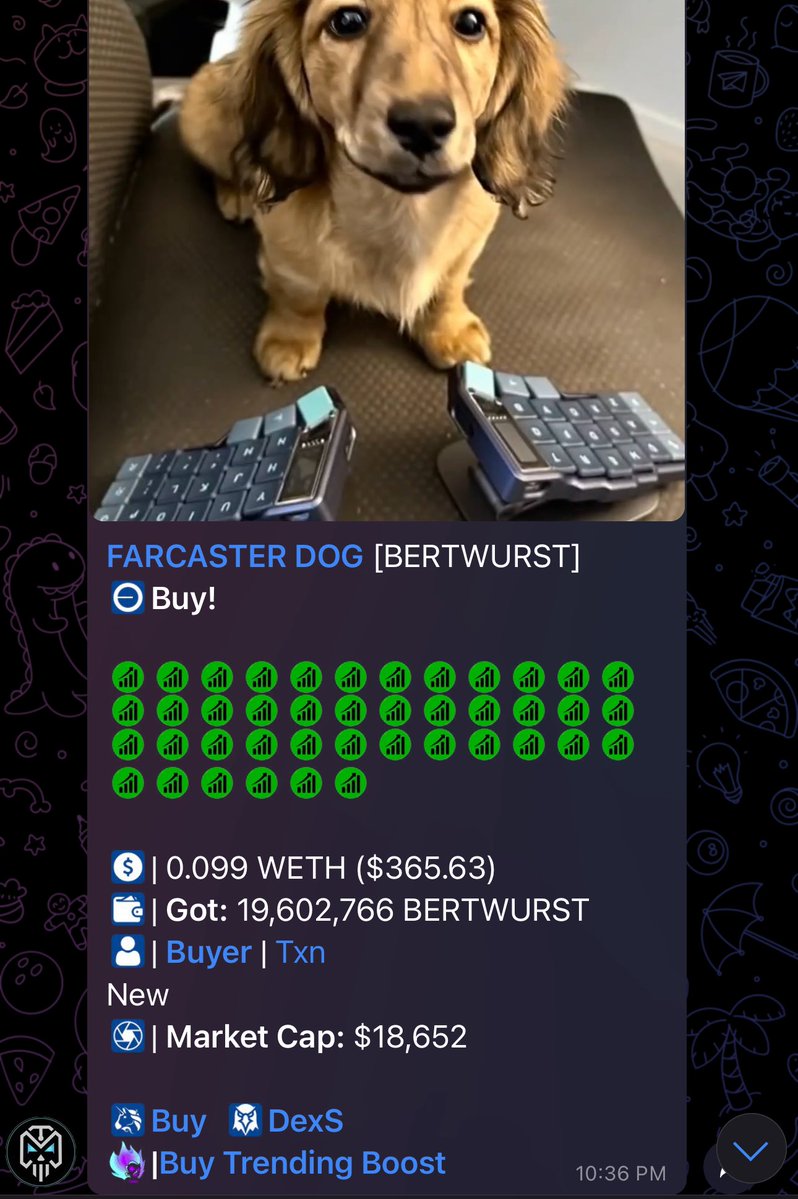 vlagudfsfjr's tweet image. Aped the dip to support chad dev and narrative is funny lets ape
0x19869A75e19566F803350E5c5400E3184D3D7D87
@whycryp123