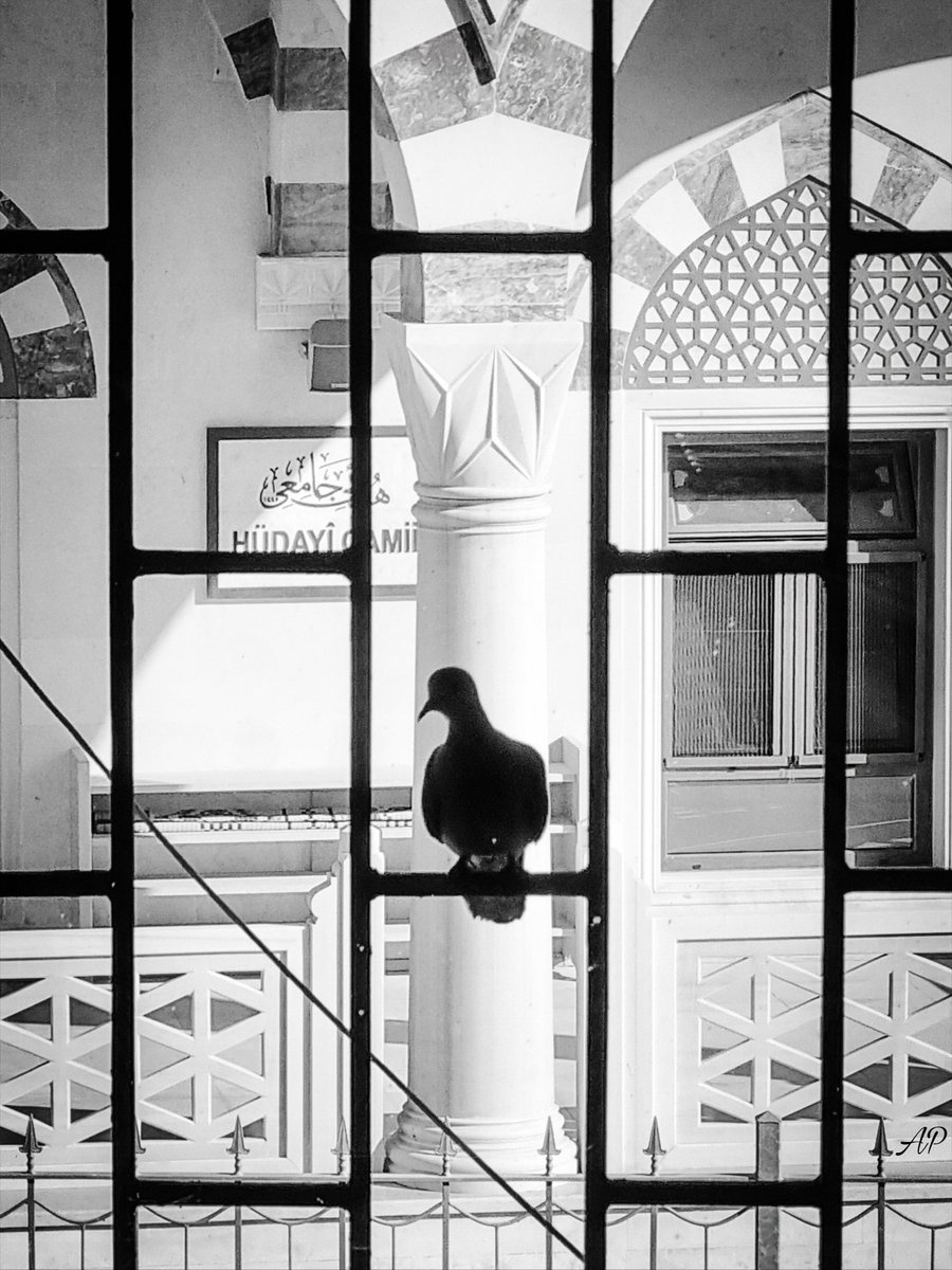 #photo #photography #photographer #photooftheday #pic #picture #pictureoftheday #fotograf #monochrome #blackandwhitephotography