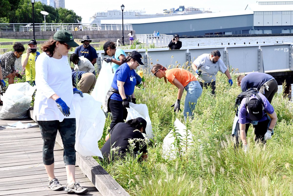 NYCParks's tweet image. We did it NYC! With your help, we hit 1 MILLION volunteers counted as part of our Let’s Green NYC volunteer campaign. From beach cleanups on our coasts to street tree care along every avenue, YOU helped us achieve this major milestone to make our city a better, greener place!