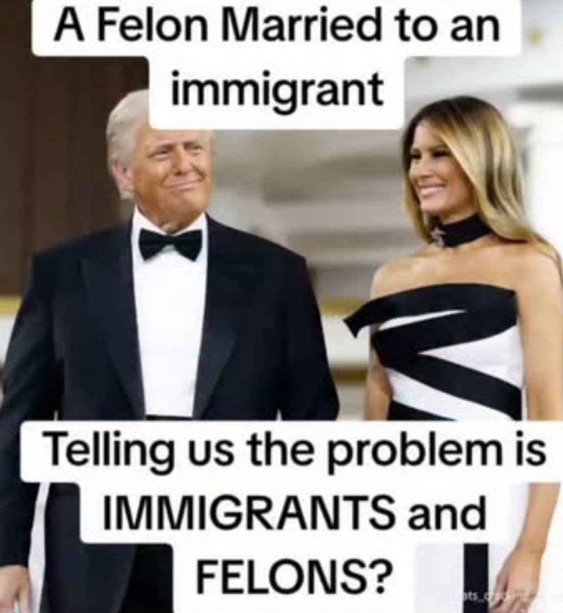 💙 Patricia Newman 💙 (dog lover) 💙 (@pnewman51) on Twitter photo 