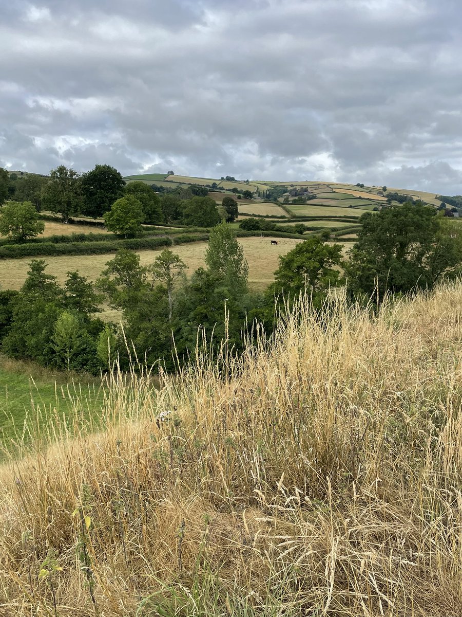 ‘The country for easy livers, the quietest under the sun’ 
Views from the ruins of Clun castle, Shropshire.