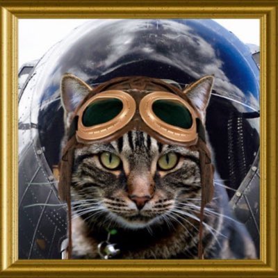 VitCza's tweet image. Captain Rocky: please join us fellow @AnipalAviators for the escort flight for dear friend Jasper @CancerDoggy on Saturday #TheAviators #NewProfilePic