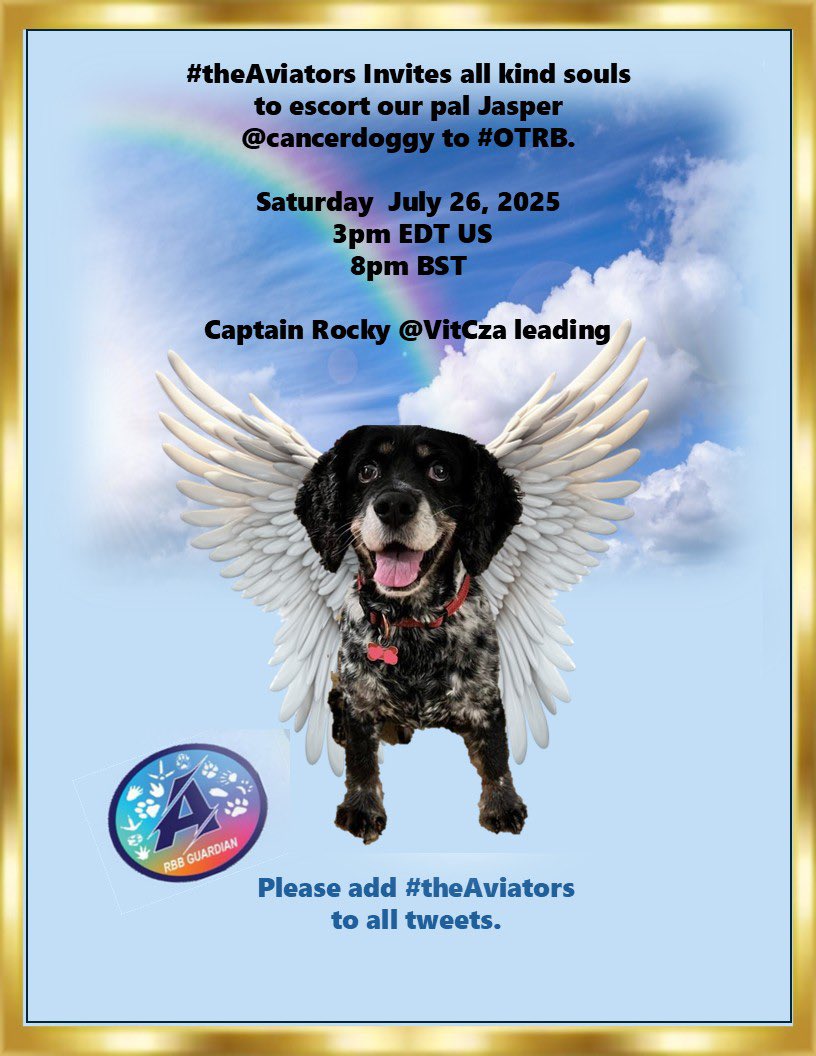 VitCza's tweet image. Captain Rocky: please join us fellow @AnipalAviators for the escort flight for dear friend Jasper @CancerDoggy on Saturday #TheAviators #NewProfilePic