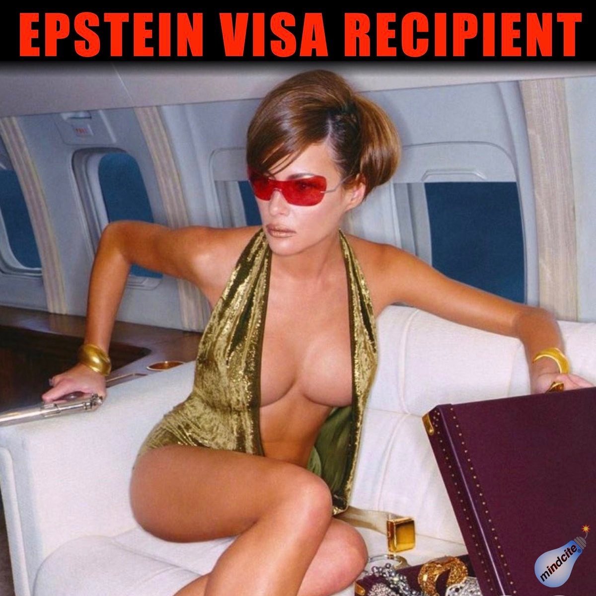 Susan16Park's tweet image. Fact - Trump had his first sex with Melania on Epstein's plane