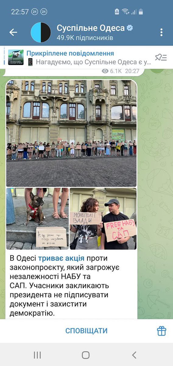 7kitLea's tweet image. Києві, Львові, Дніпрі, Одесі та інших містах України люди протестували проти злочинного рішення Ради.