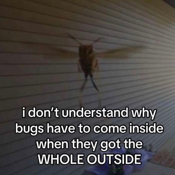 Wild TikToks (@wildtiktokss) on Twitter photo 