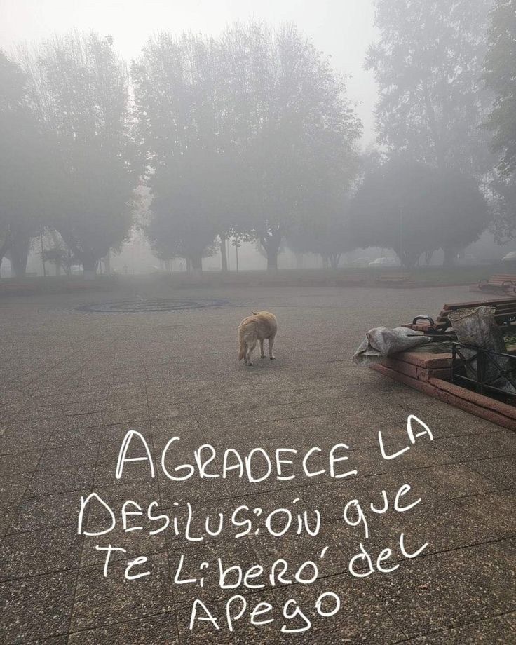 escritosnacion's tweet photo. https://t.co/6JCi1vlkwX