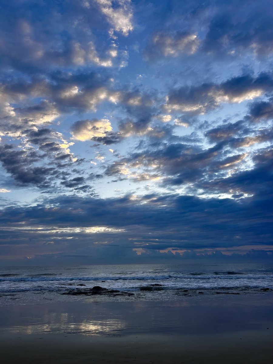 PatriciaLongw10's tweet image. The colour has gone but the mind remembers the beauty