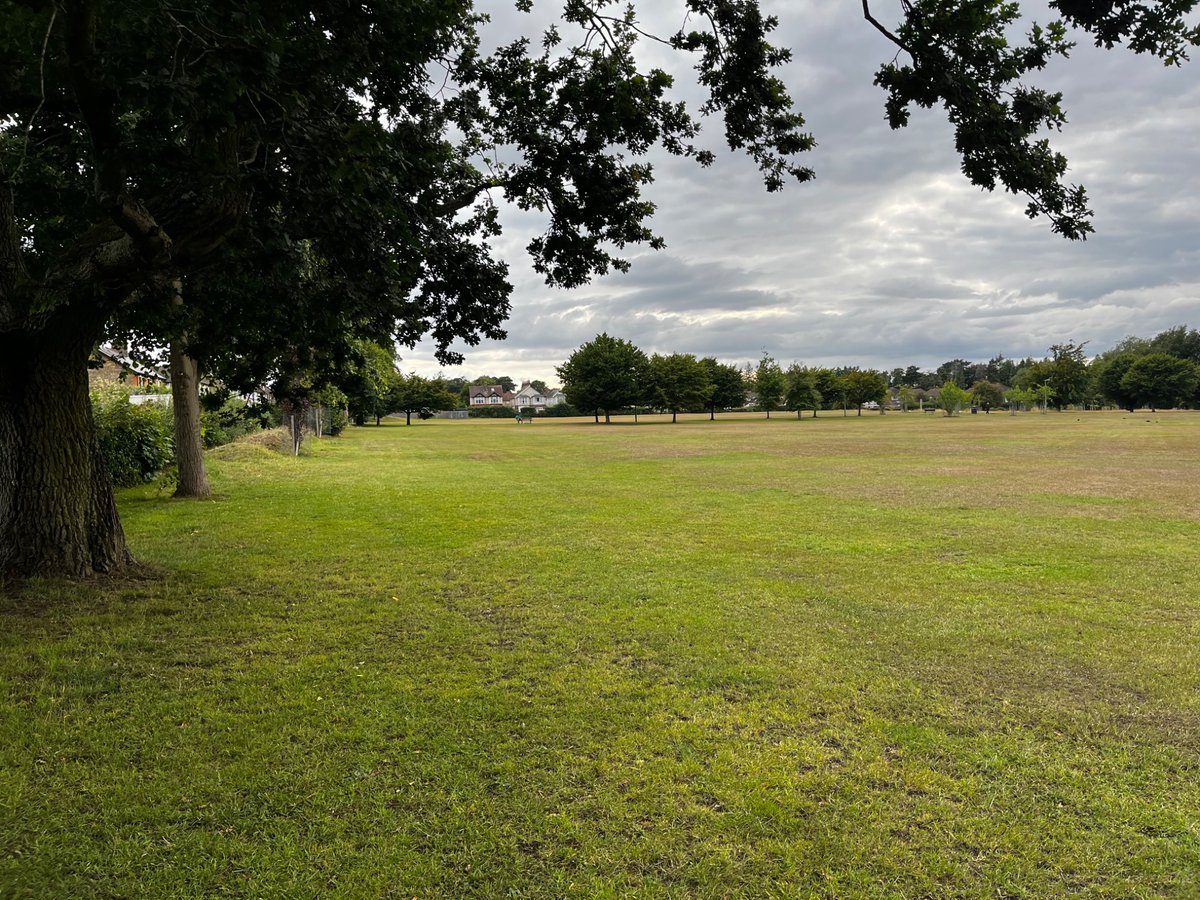 Nice to see fresh new green grass beginning to emerge on the parched common at the end of my road, following recent heavy rain and showers since Friday, all the grass was straw-coloured a few days ago, still some way go for total greening