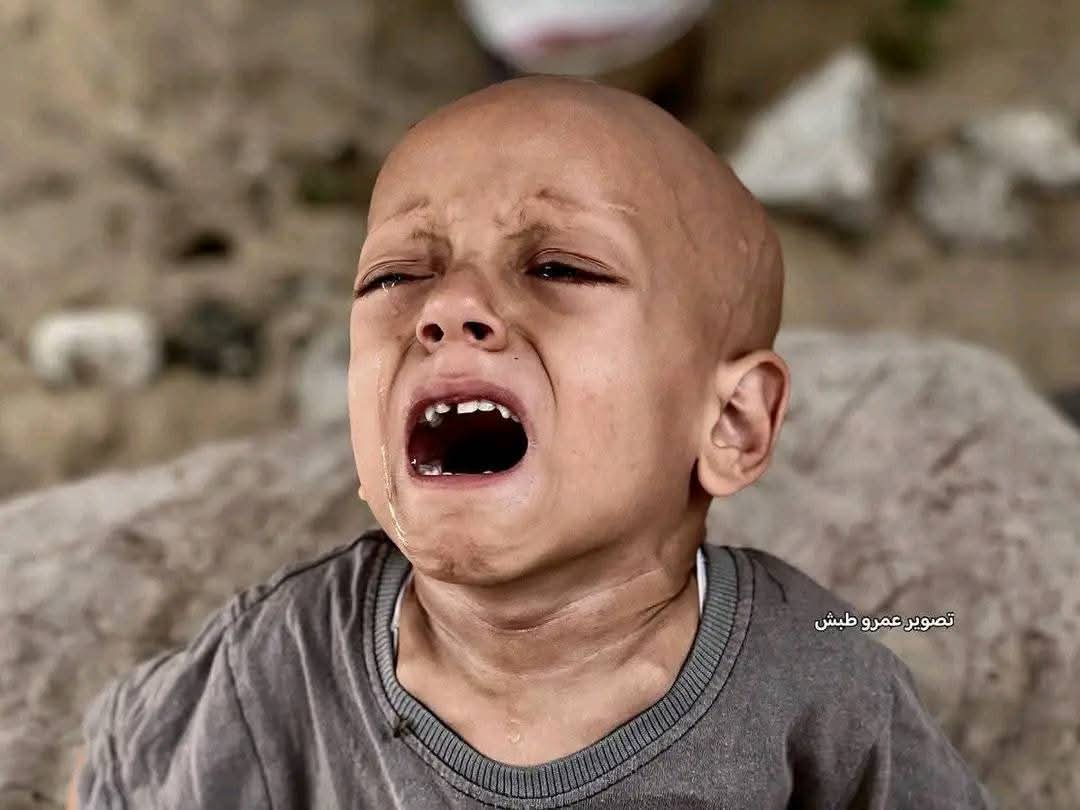 لعنة الله عليها أمة
عجزت حكامها في لقمتك

لعنة الله عليها أمة
ليس فيها ذرة من نخوتك

لعنة الله عليها أمة
تحت خمسين زعيما وملك

كلهم تحت نتنياهو وهم
معه قد شاركوا في مقتلك

فجيوش العرب إلا جيشنا
أمرها طوعا لأمريكا تُرك

والشعوب اليوم إلا شعبنا
صدها حكامها عن نصرتك
#غزة_تقتل_جوعاً
