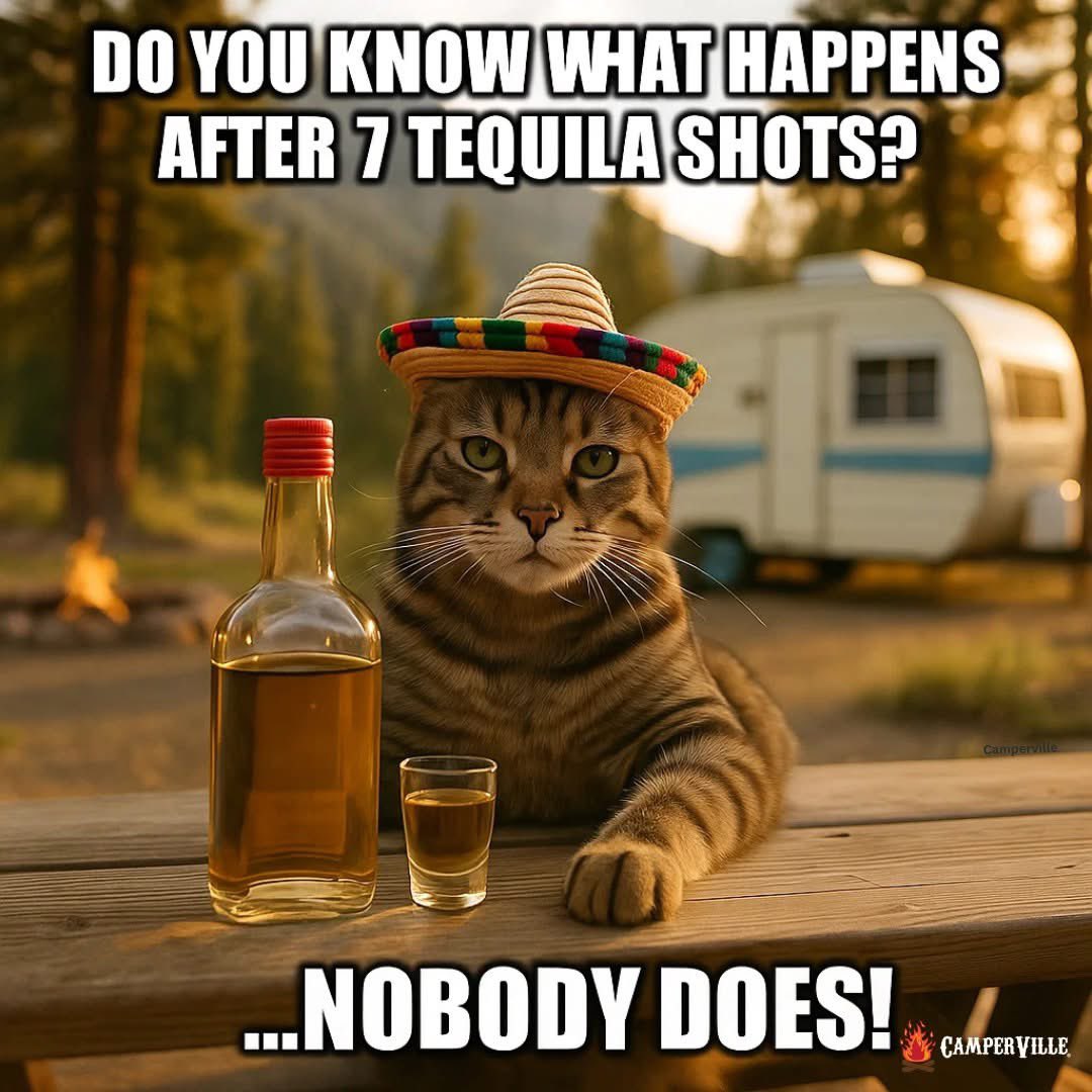 mountainmomma82's tweet image. For all of you taco and tequila friends out there, just remember……….