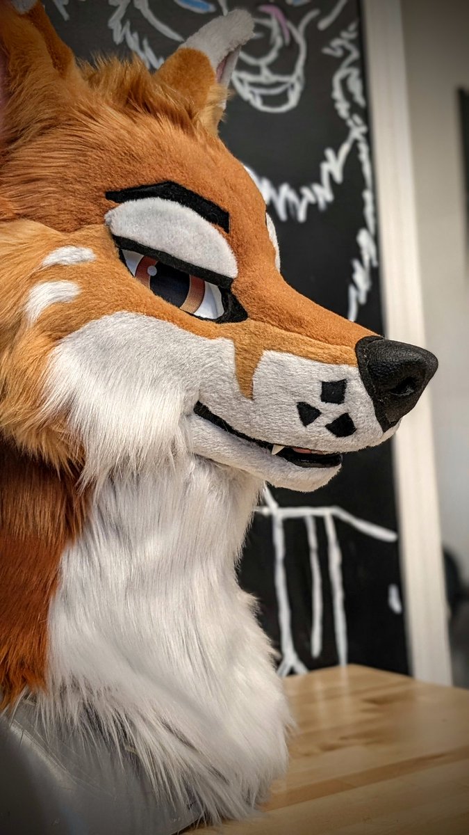 yazurscritters's tweet image. Our latest commission, Meet Baja 🧡🧡
#furryfandom #fursuitmaker