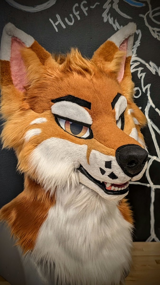 yazurscritters's tweet image. Our latest commission, Meet Baja 🧡🧡
#furryfandom #fursuitmaker