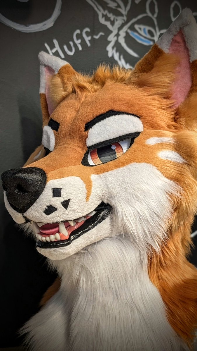 yazurscritters's tweet image. Our latest commission, Meet Baja 🧡🧡
#furryfandom #fursuitmaker