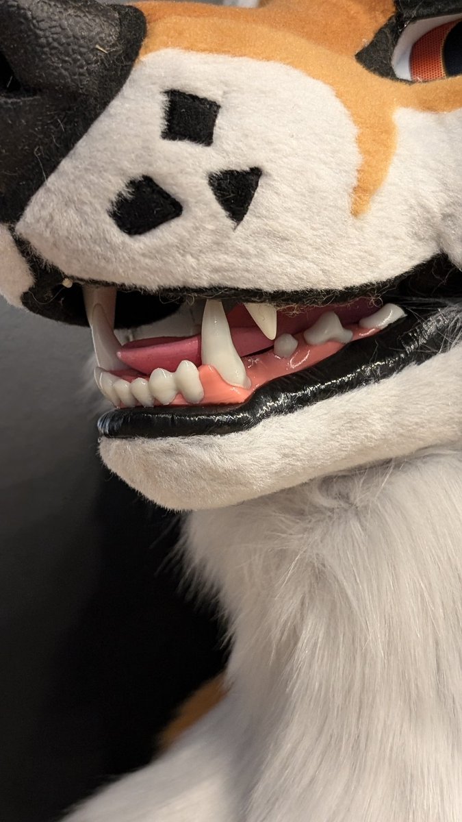 yazurscritters's tweet image. Our latest commission, Meet Baja 🧡🧡
#furryfandom #fursuitmaker