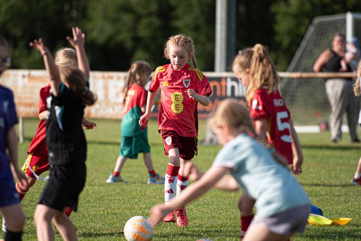 Mold Alex FC tweet media