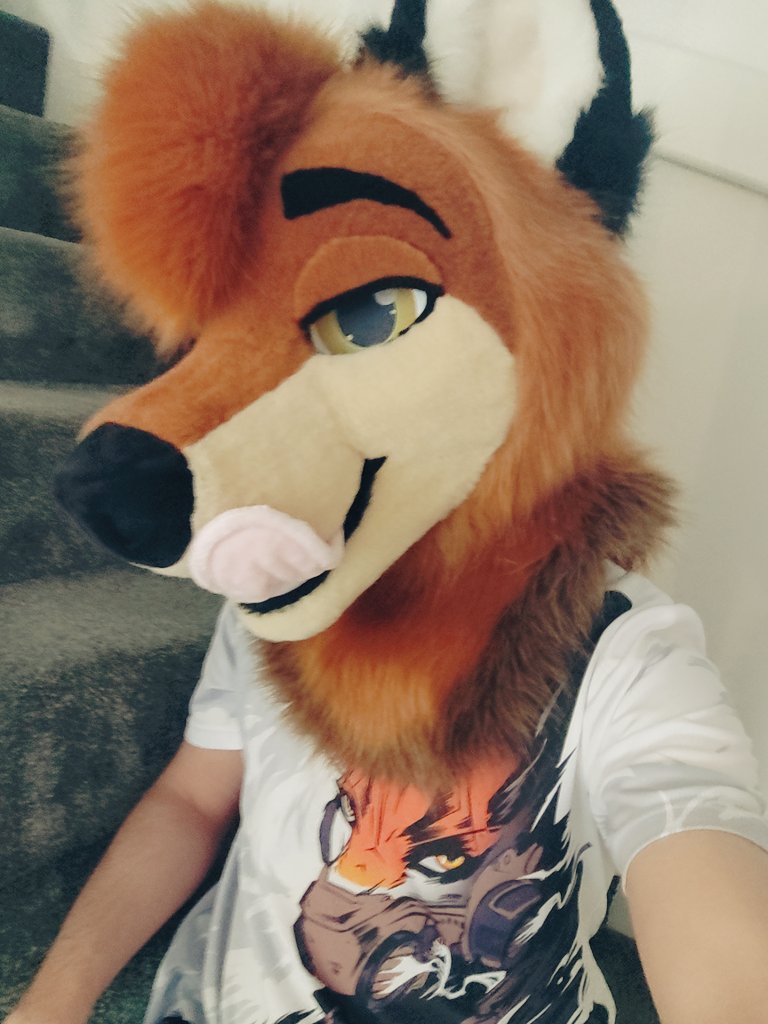 TibbleTheFox's tweet image. Muzzle licks with the long tongue for when you're feeling foxy 🦊 👅