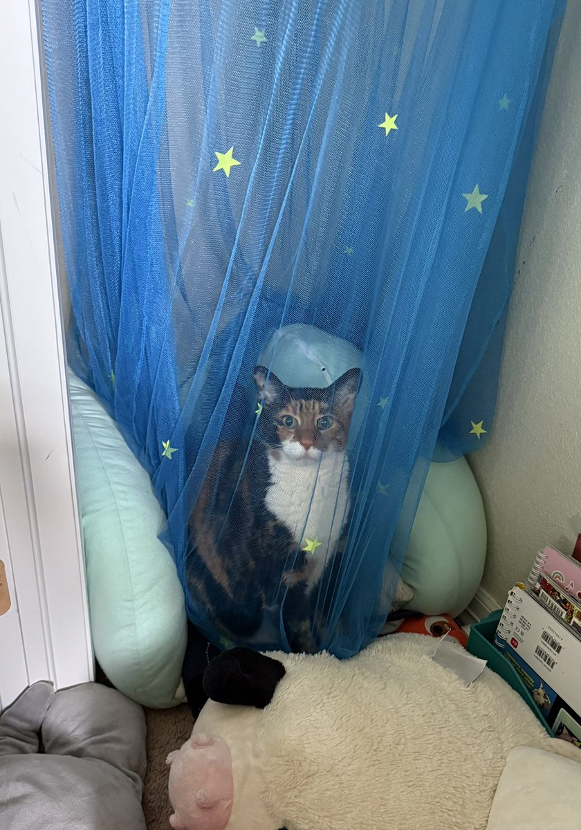 EPOCH Pool | no stress dRep tweet media