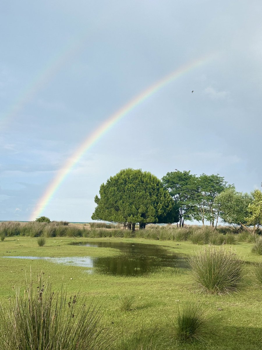 Samsun’da bir yer.