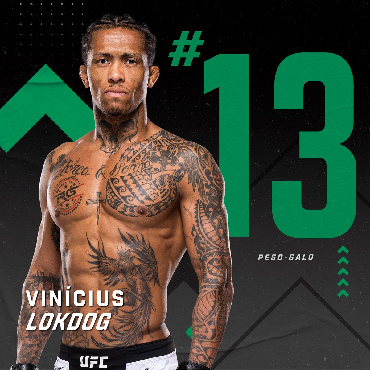 UFCBrasil's tweet image. Mudanças no ranking após o #UFC318! 🚀🇧🇷
@LokdogVinicius e @PatricioPitbull entram no Top 15 de suas categorias, e @BorrachinhaMMA sobe para a 11ª posição nos médios! 👊
Reveja o evento SOMENTE no @UFCFightPassBR | Assine no link do perfil 🔗