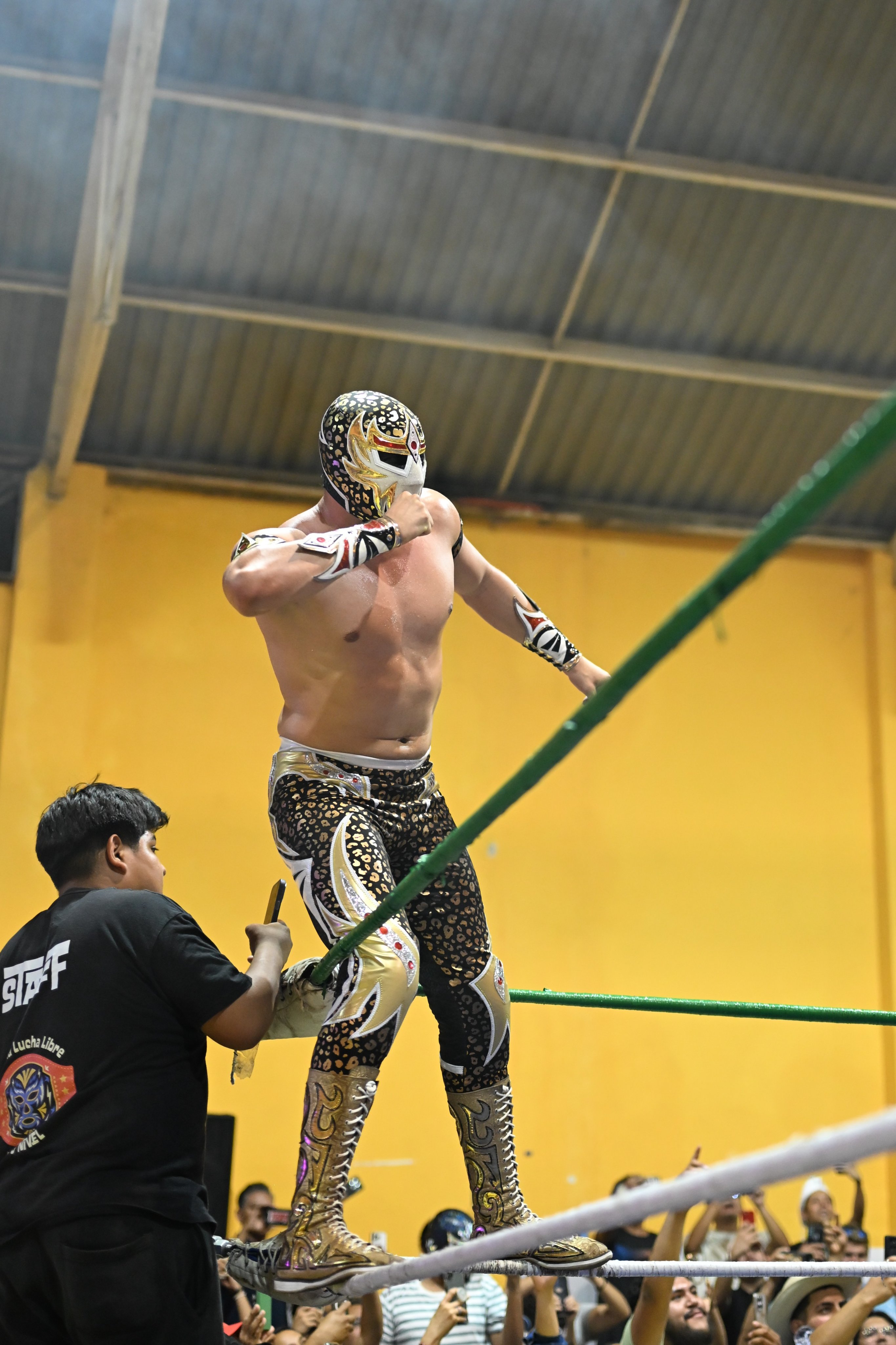 MEXICO AHORA 新しいルチャリブレ ルチャリブレ50周年記念 CMLL x LADYS RING x 株式会社メキシコ観光 Present's