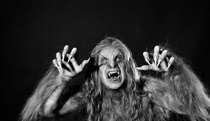 Danhausen (@danhausenad) on Twitter photo 