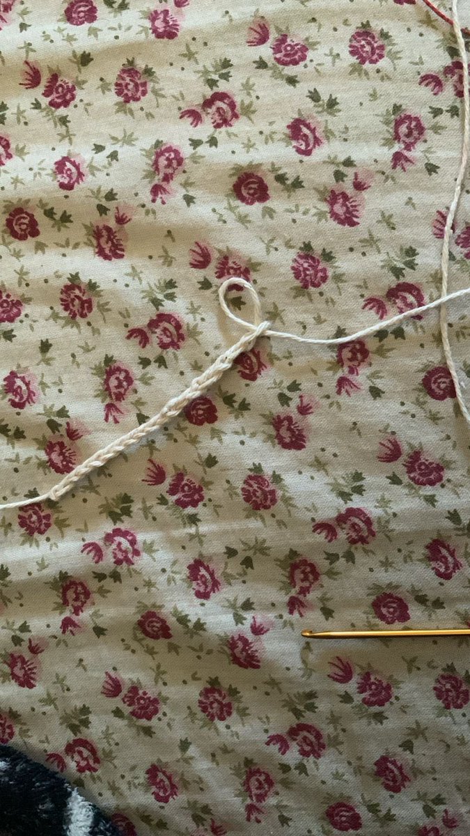 raystudys's tweet image. iniciando um hobbie novo: croche (tentativa de correntinha) 

obs: #crochetwt quero mutuals da comunidade pra me apoiar nessa jornada 🥺