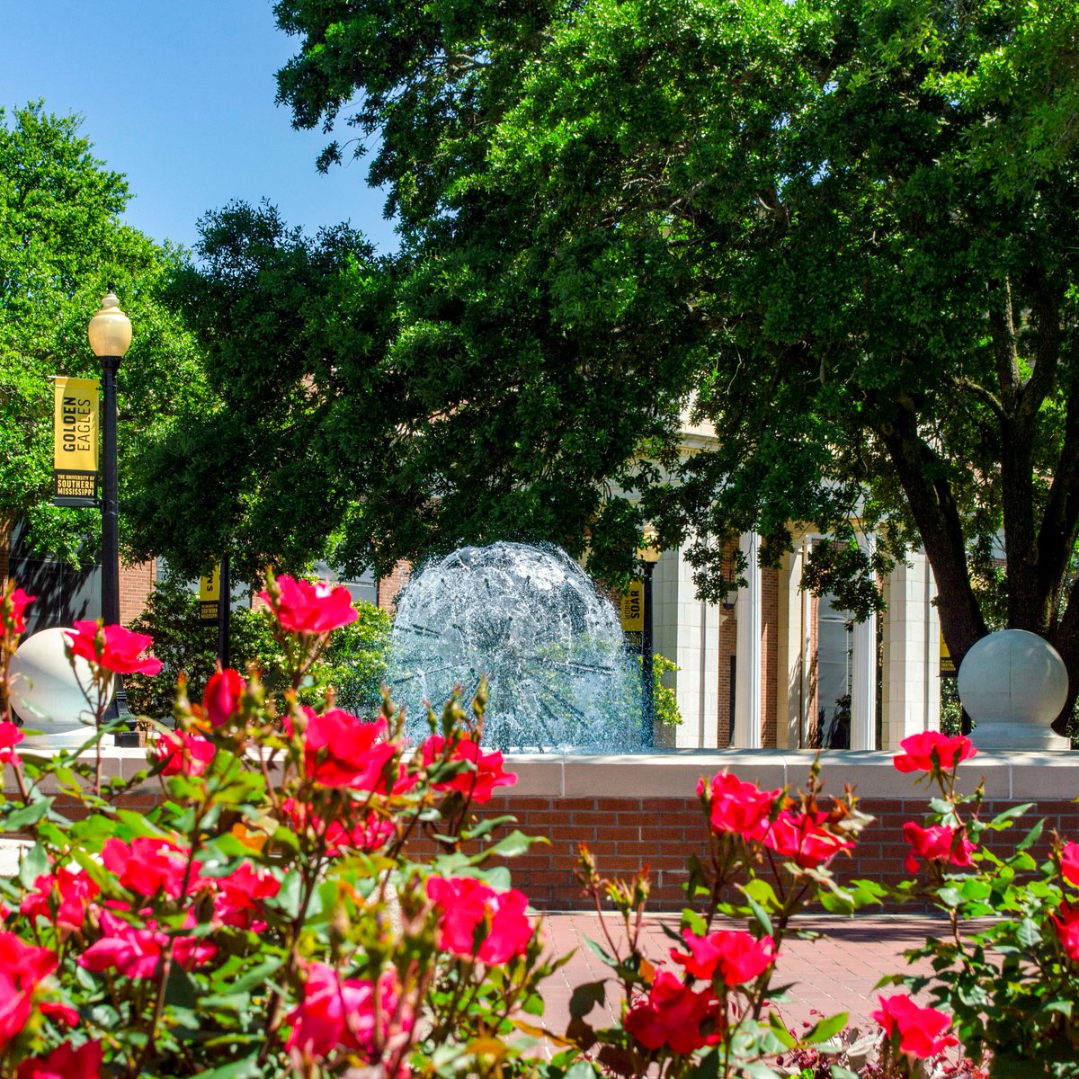 SouthernMiss's tweet image. Summer looks good on us