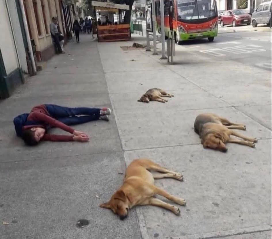 aagostinatw's tweet image. tengo la energía bajísima, solo quiero dormir, y estoy triste, mercurio sos vos?