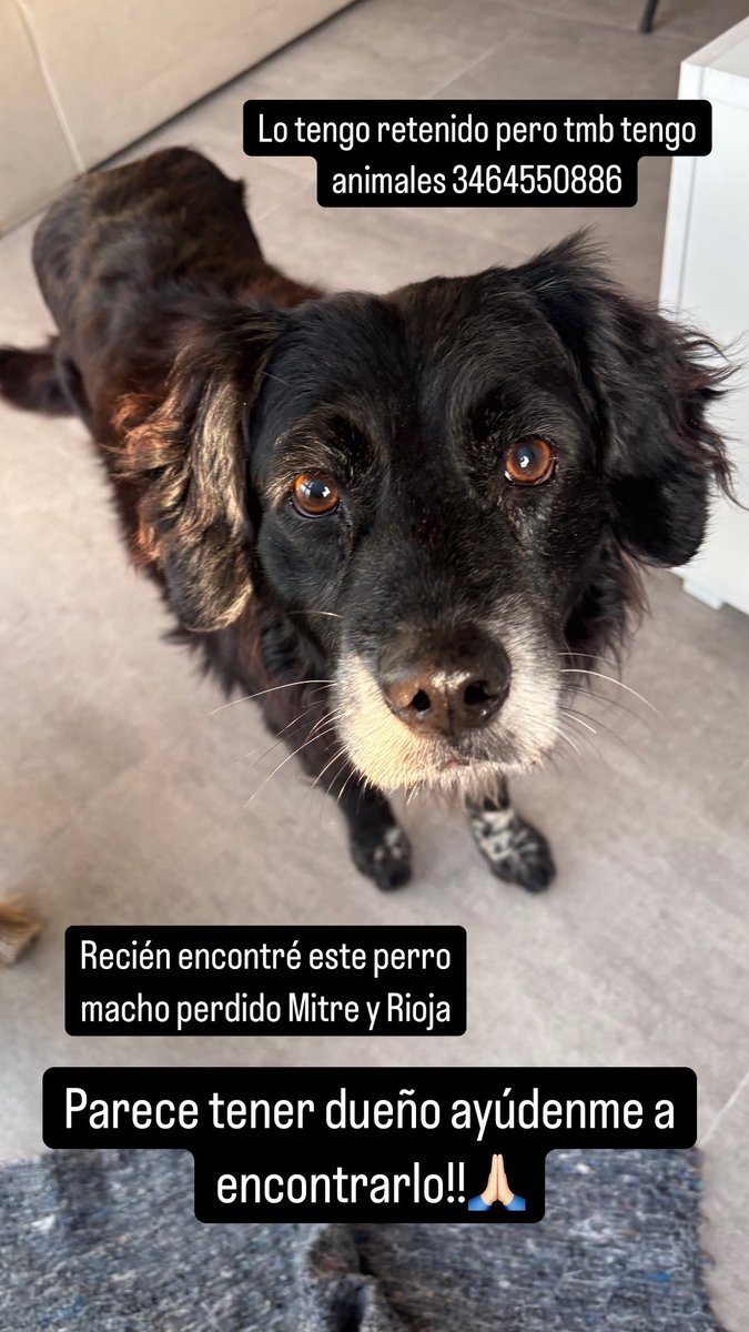 Ayúdenme 🙏🏻🙏🏻