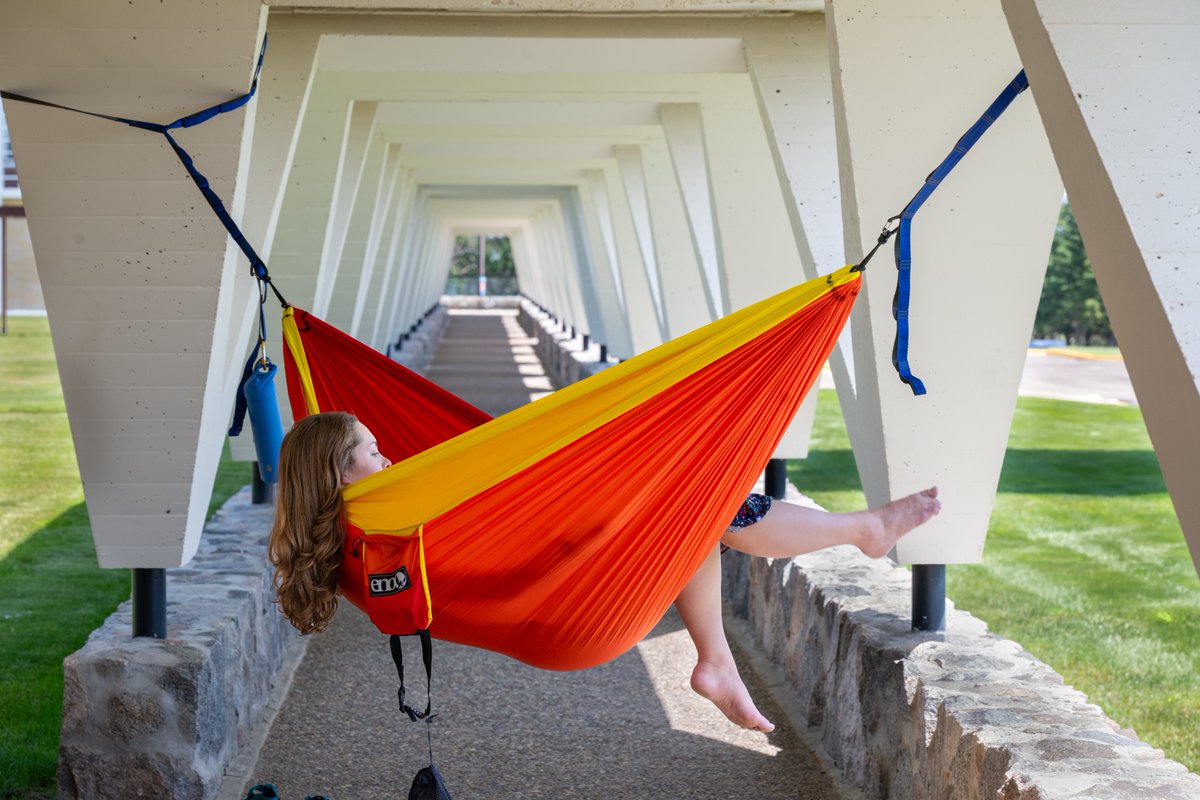 umary's tweet image. Before the textbooks come out, the hammocks go up. #NationalHammockDay ☀️ #LifeatMary
