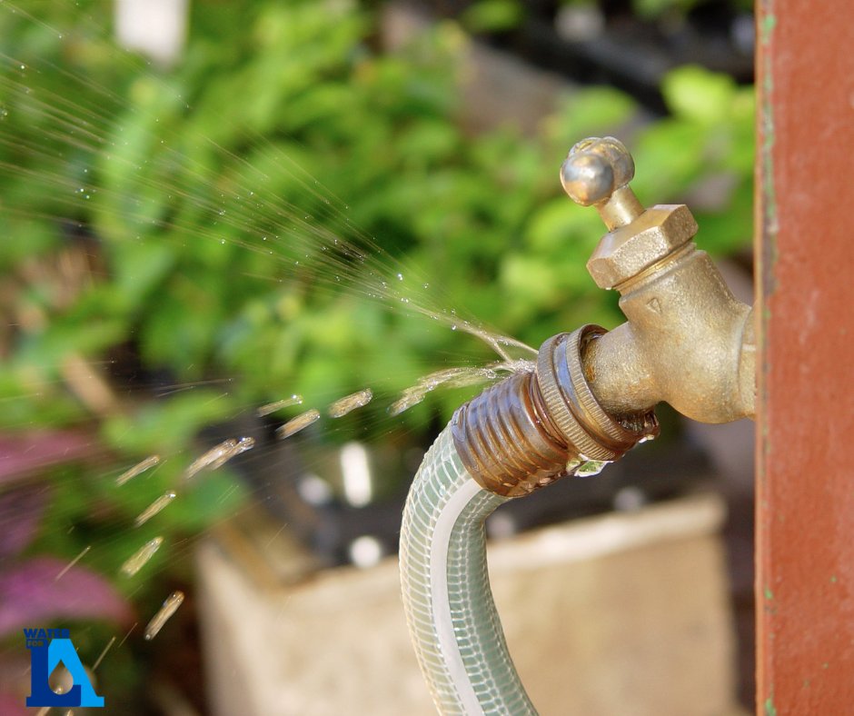 WaterForLA's tweet image. Water Conservation Tip ✏️
Here are some helpful conservation tips
💡Fix leaky faucets, pipes, hoses and running toilets
💡Cover your pool
💡Reduce food waste to minimize your water footprint
🔗 Click for more tips waterforla.lacounty.gov/conservation/
#Water4LA