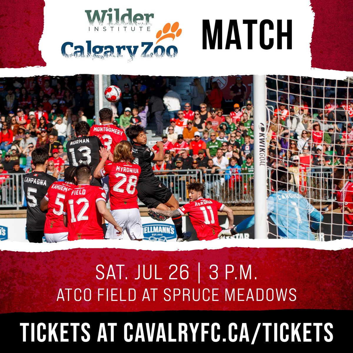 calgaryzoo's tweet image. We’re partnering with Cavalry FC for an exciting game at ATCO Field. The ultimate goal? 🥅 10% of the proceeds from ticket sales will be donated back to the Wilder Institute/Calgary Zoo.
Get your tickets for this July 26th match: bit.ly/3Ft8AVK
#YourZooYYC #YYCEvents