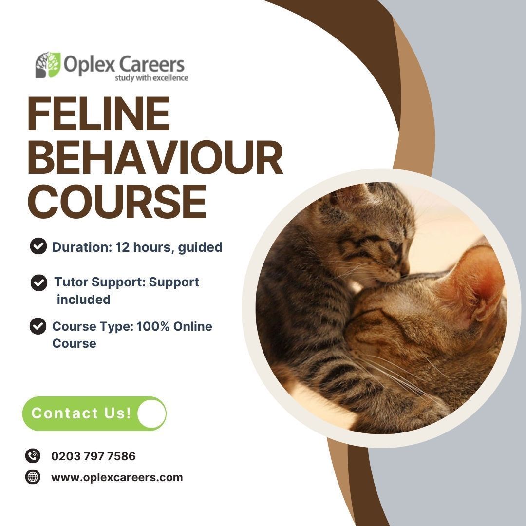 Cat Behaviour Course: Master Feline Habits Like a Pro