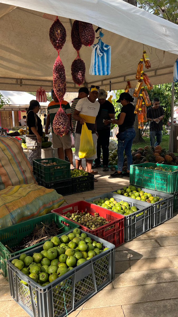 rpcradiolorica's tweet image. #Negocios - Ventas por $29 millones 885 mil pesos dejó el Mercado Campesino 🧑🏼‍🌾 de Lorica: plátano, queso, pescado, ñame y queso fueron los productos más vendidos. En la jornada de la @AlcaldiaLorica participaron 50 pequeños productores #campesinos