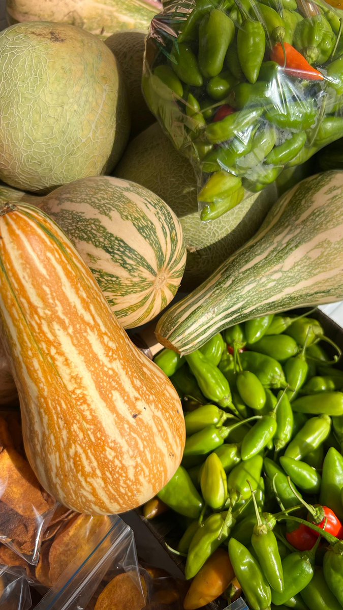 rpcradiolorica's tweet image. #Negocios - Ventas por $29 millones 885 mil pesos dejó el Mercado Campesino 🧑🏼‍🌾 de Lorica: plátano, queso, pescado, ñame y queso fueron los productos más vendidos. En la jornada de la @AlcaldiaLorica participaron 50 pequeños productores #campesinos