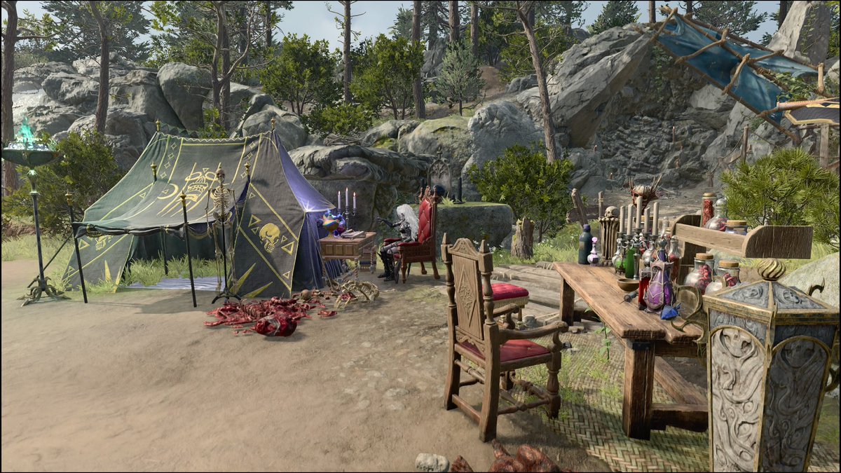 vhaerawwn's tweet image. no greater joy than spending 2 hours customising ur camp (i killed astarion so his spot is available for me)