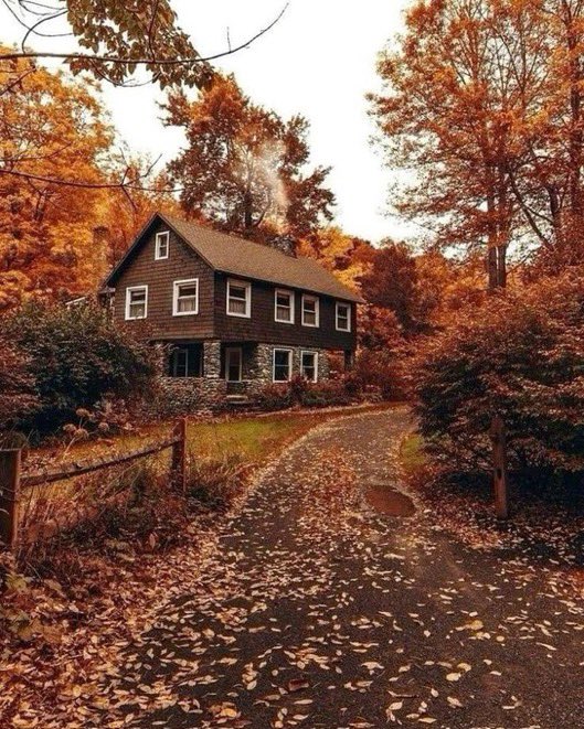 visualtherapy0's tweet image. but in my soul, fall & halloween is a lifestyle. 馃巸馃崅