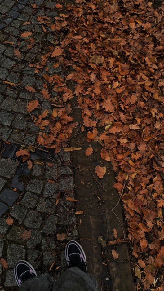 visualtherapy0's tweet image. but in my soul, fall & halloween is a lifestyle. 馃巸馃崅