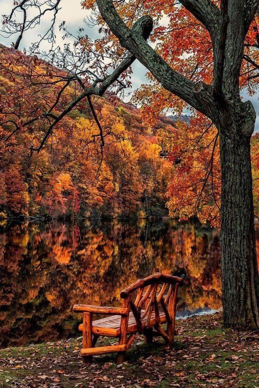 visualtherapy0's tweet image. but in my soul, fall & halloween is a lifestyle. 馃巸馃崅