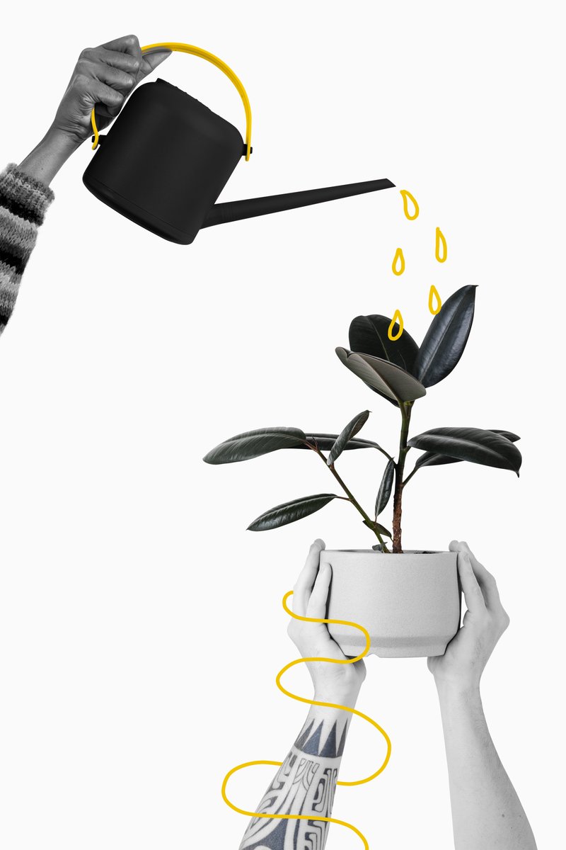 There’s a difference between growing your page and growing your business.

We focus on the latter. 

#ClarityToConversion #Digiwrite