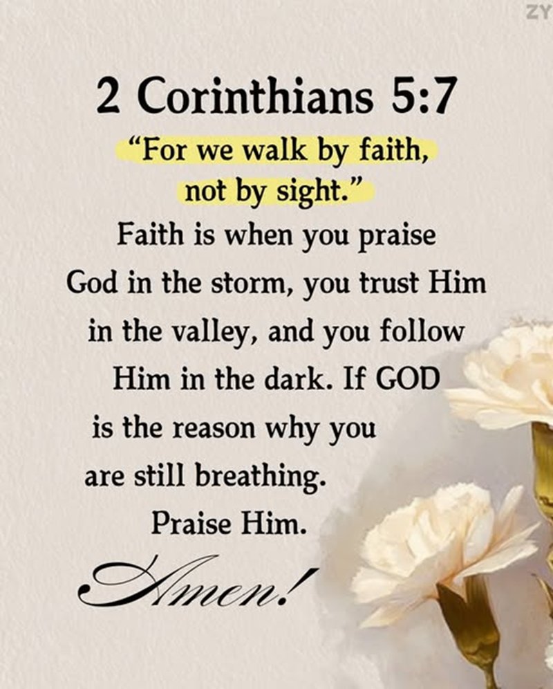 Pgh_Buz's tweet image. #StandWGod
@bdonesem
@laura_7771
@Emmanue37844681
@thompsonb2569
@ChristIsComing5
@Angelmom337
@mbabazi_odeth
@TJLakers01
@emma6USA
@tooosunny
@TimBurt
@BeachcatTt
@emma6USA
@realdanieltitus
@OperHealAmerica
@Holy__Bible1
@Pgh_Buz
