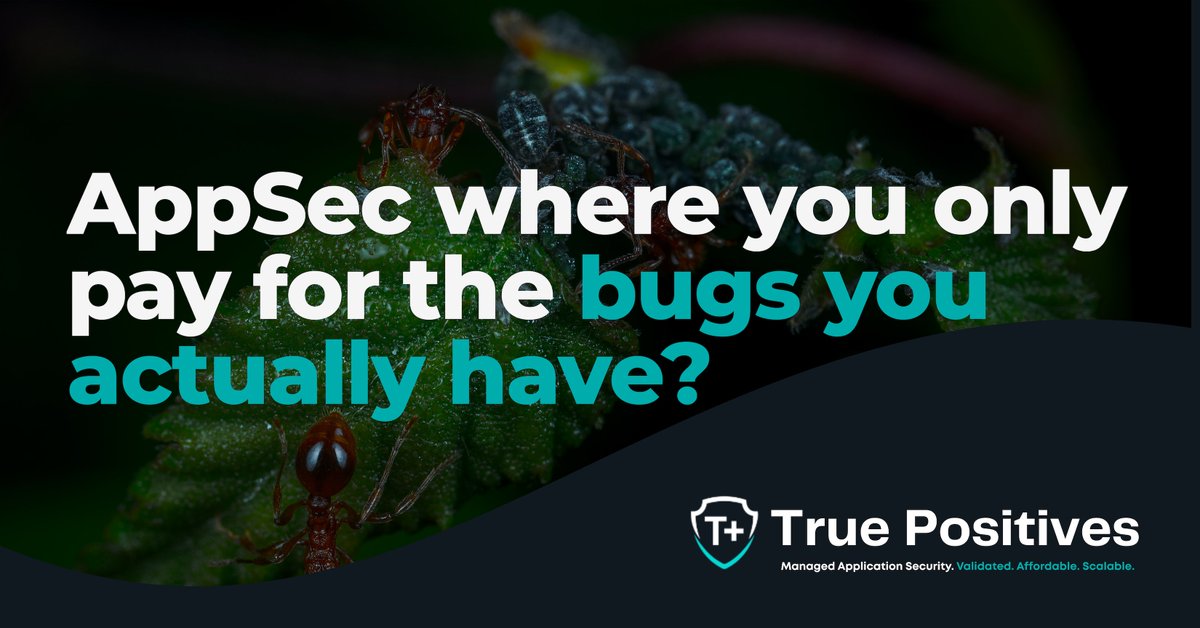 What if you could only pay for the bugs you actually find in #AppSec? #TruePositives approach does just that. 

Learn more: true-positives.com/appsec-blog/wh…