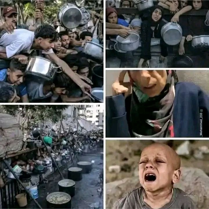 جوع مليونين..
هو ليس حرمان لهم من الطعام..
بقدر ما هو حرمان من الكرامة لأمة بمليارين
